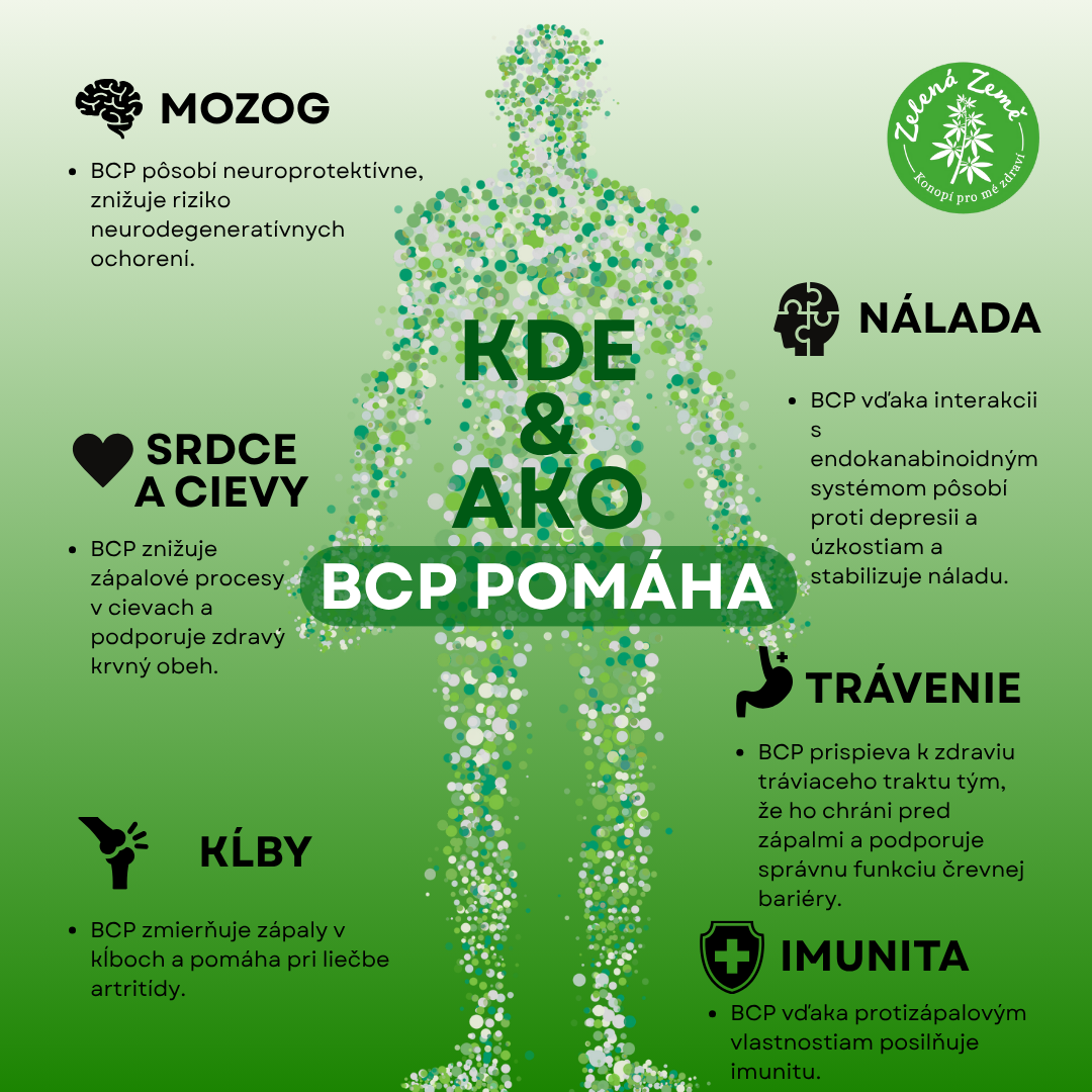 kdeajakBCP